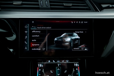 Audi e-tron Gebrauchtwagen