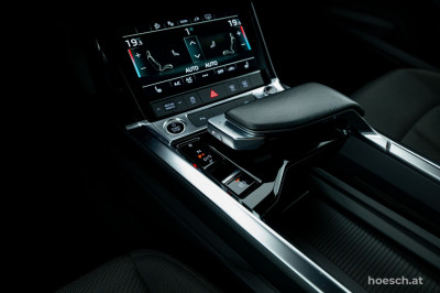 Audi e-tron Gebrauchtwagen
