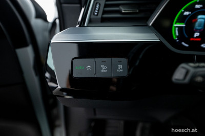 Audi e-tron Gebrauchtwagen