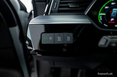 Audi e-tron Gebrauchtwagen Audi e-tron Gebrauchtwagen