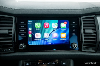 Skoda Kodiaq Gebrauchtwagen