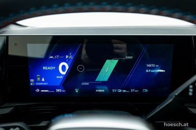 Renault Rafale Gebrauchtwagen