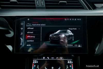Audi e-tron Gebrauchtwagen