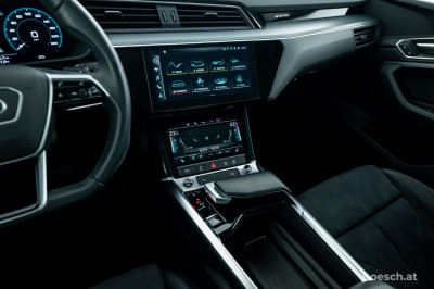 Audi e-tron Gebrauchtwagen