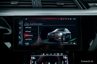Audi e-tron Gebrauchtwagen