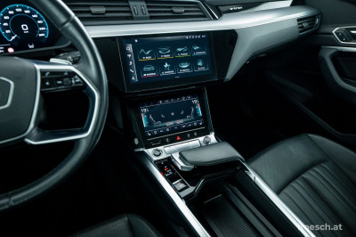 Audi e-tron Gebrauchtwagen