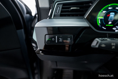 Audi e-tron Gebrauchtwagen