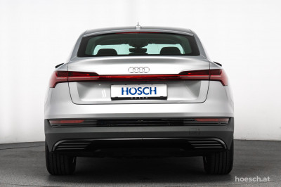 Audi e-tron Gebrauchtwagen