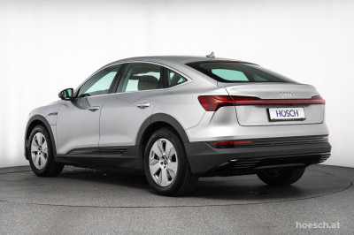 Audi e-tron Gebrauchtwagen