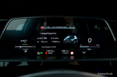 Audi Q8 e-tron Gebrauchtwagen