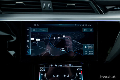 Audi Q8 e-tron Gebrauchtwagen