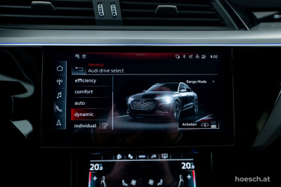 Audi Q8 e-tron Gebrauchtwagen