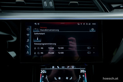 Audi Q8 e-tron Gebrauchtwagen