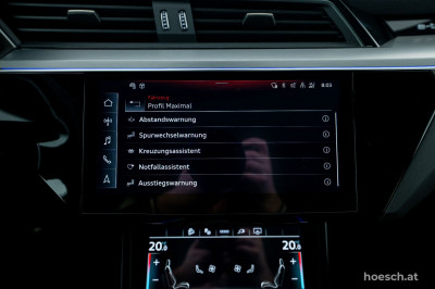 Audi Q8 e-tron Gebrauchtwagen