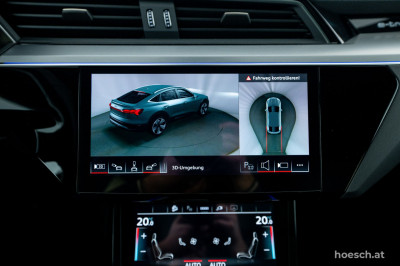 Audi Q8 e-tron Gebrauchtwagen