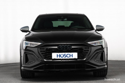 Audi Q8 e-tron Gebrauchtwagen