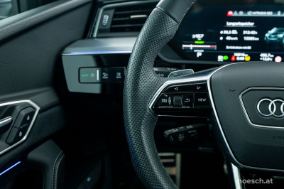 Audi Q8 e-tron Gebrauchtwagen