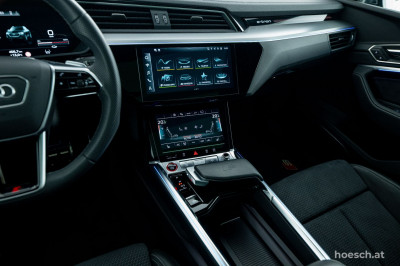 Audi Q8 e-tron Gebrauchtwagen