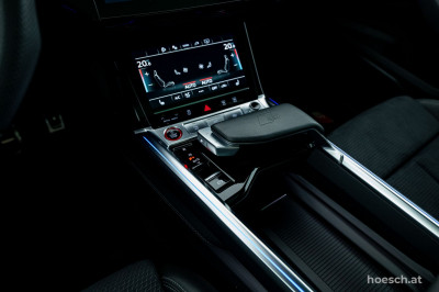 Audi Q8 e-tron Gebrauchtwagen