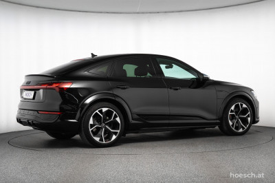 Audi Q8 e-tron Gebrauchtwagen