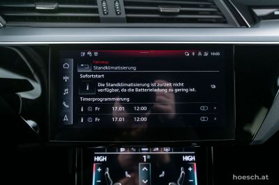 Audi e-tron Gebrauchtwagen