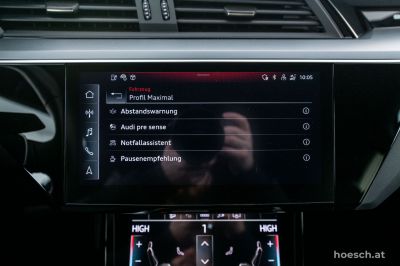 Audi e-tron Gebrauchtwagen
