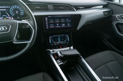 Audi e-tron Gebrauchtwagen