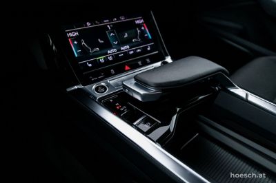 Audi e-tron Gebrauchtwagen