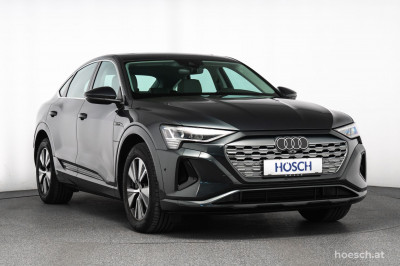 Audi Q8 e-tron Gebrauchtwagen