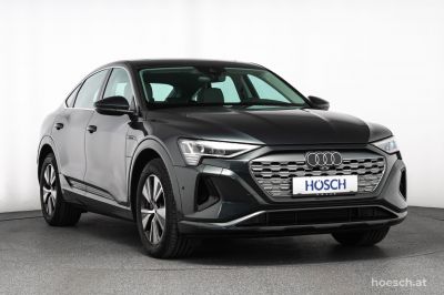 Audi Q8 e-tron Gebrauchtwagen