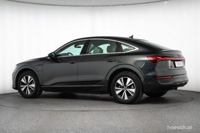 Audi Q8 e-tron Gebrauchtwagen