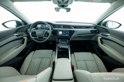 Audi Q8 e-tron Gebrauchtwagen