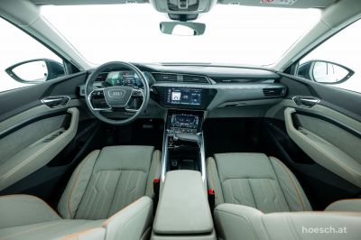Audi Q8 e-tron Gebrauchtwagen