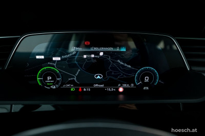 Audi Q8 e-tron Gebrauchtwagen