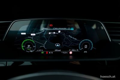 Audi Q8 e-tron Gebrauchtwagen