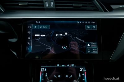 Audi Q8 e-tron Gebrauchtwagen