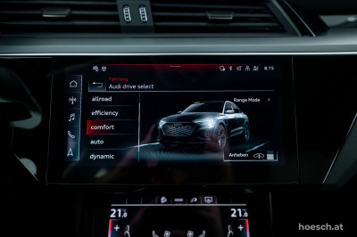 Audi Q8 e-tron Gebrauchtwagen