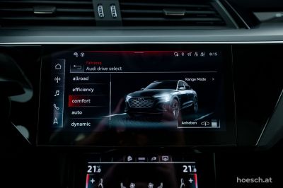 Audi Q8 e-tron Gebrauchtwagen