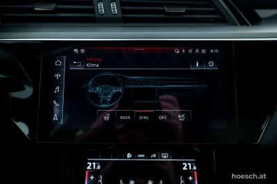 Audi Q8 e-tron Gebrauchtwagen