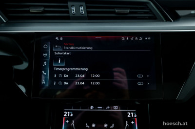Audi Q8 e-tron Gebrauchtwagen