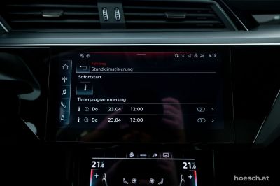 Audi Q8 e-tron Gebrauchtwagen