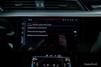 Audi Q8 e-tron Gebrauchtwagen