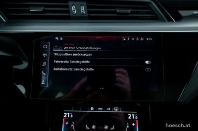 Audi Q8 e-tron Gebrauchtwagen