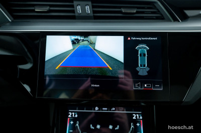 Audi Q8 e-tron Gebrauchtwagen