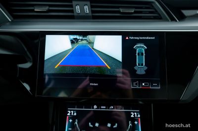 Audi Q8 e-tron Gebrauchtwagen