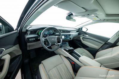Audi Q8 e-tron Gebrauchtwagen