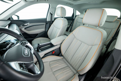 Audi Q8 e-tron Gebrauchtwagen