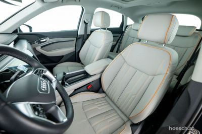 Audi Q8 e-tron Gebrauchtwagen