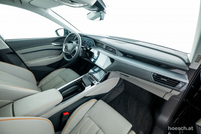Audi Q8 e-tron Gebrauchtwagen