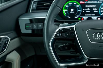 Audi Q8 e-tron Gebrauchtwagen